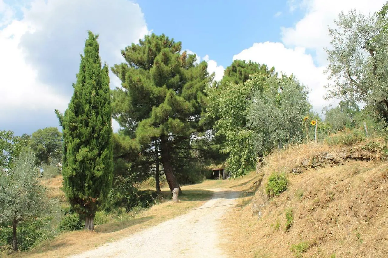 בית נופש רג'לו Podere I Rovai-Apt Il Rifugio- In The Heart Of Tuscany איטליה